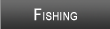 Houghton Lake Fishing